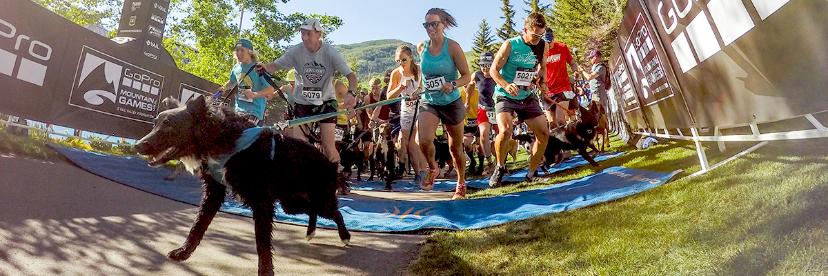 The 2019 Rocky Dog Trail Run – a bonding experience
