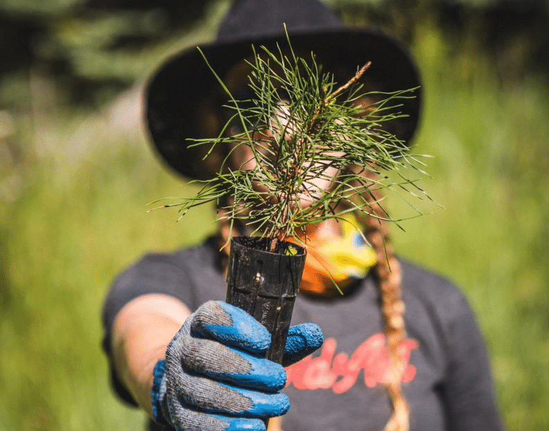 Protect our Playground